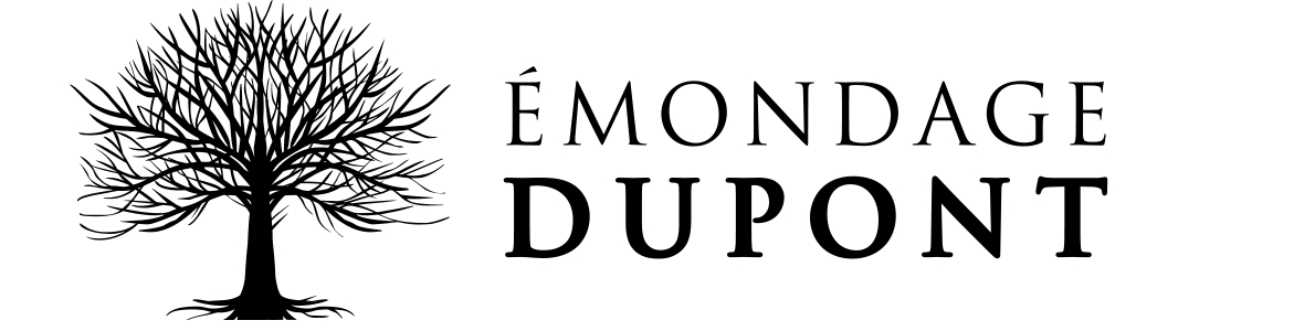 Émondage Dupont Abattage Arbre Émondage