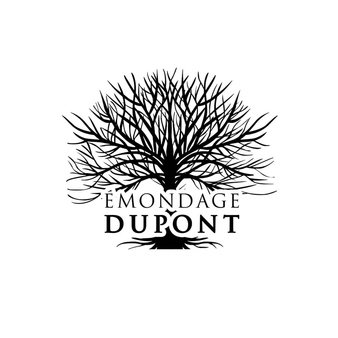 Glossaire forestier B ~ Émondage Dupont Abattage Élagage
