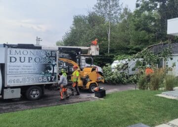 Abattage d’arbres avec Émondage Dupont
