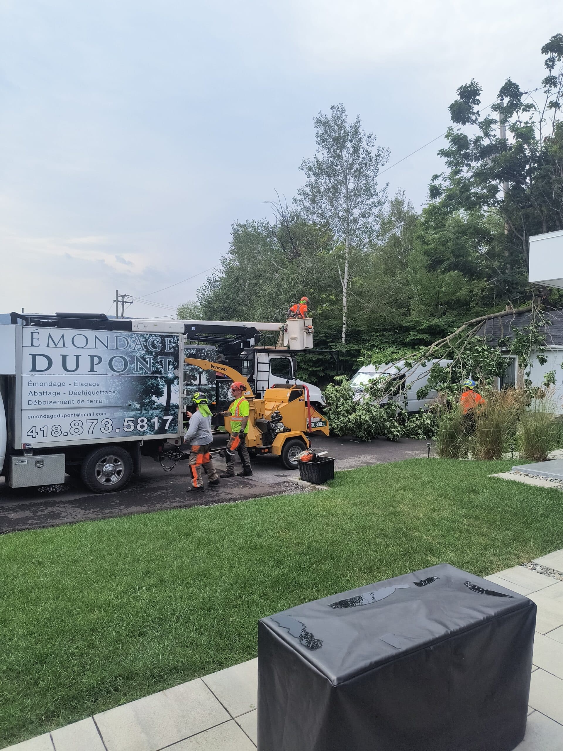 Abattage d’arbres avec Émondage Dupont